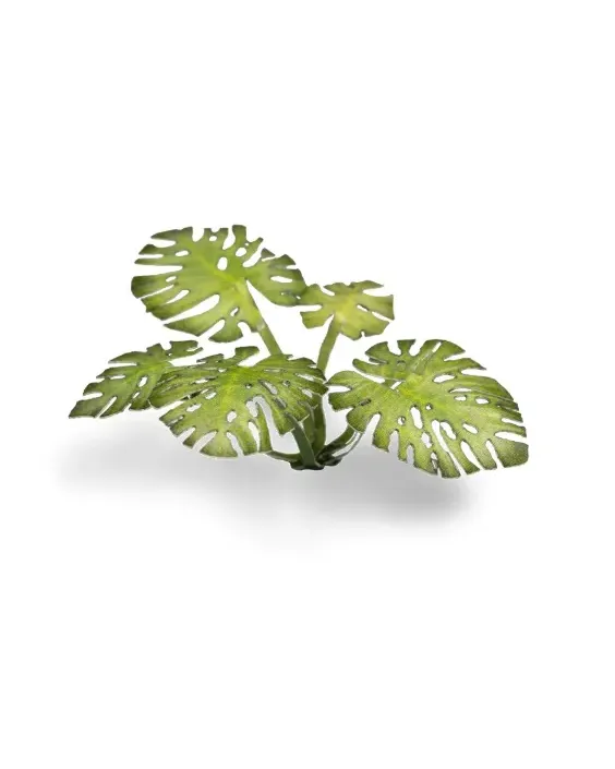 Gamers Grass Laser Plants - Monstera