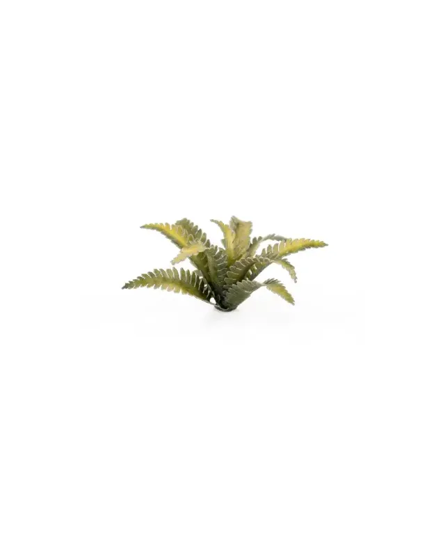 Gamers Grass Laser Plants - Deer Fern